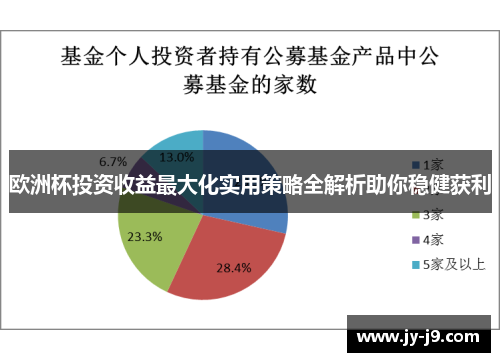欧洲杯投资收益最大化实用策略全解析助你稳健获利