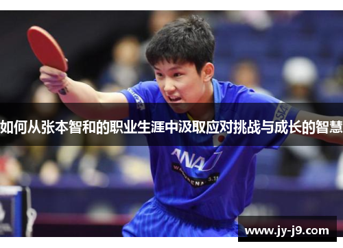 如何从张本智和的职业生涯中汲取应对挑战与成长的智慧